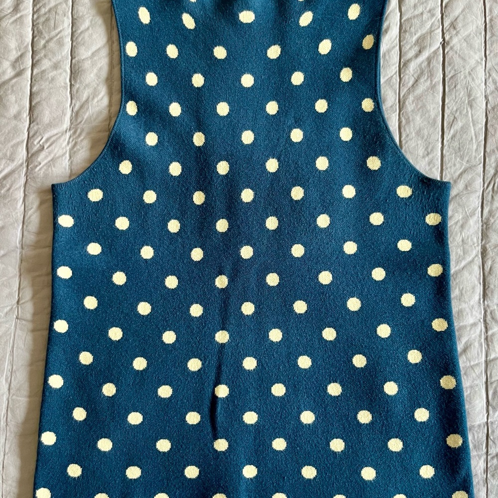 Ann Taylor Blue Polka Dot Knit Top